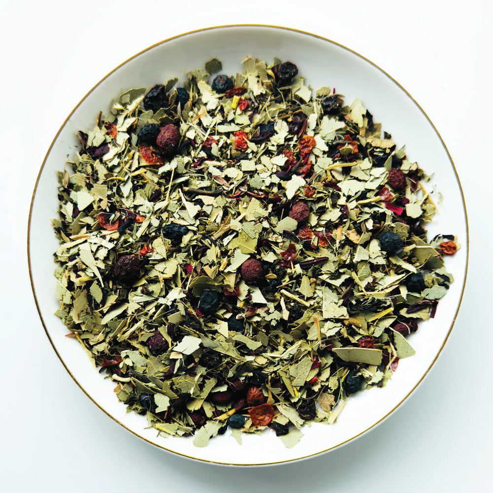 
                  
                    ANTIDOTE - QUATRE SAISONS
                  
                