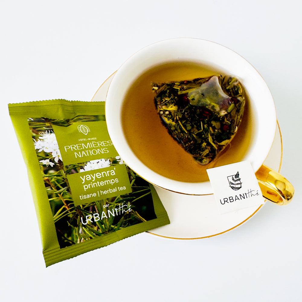 
                  
                    YAYENRA' | PRINTEMPS
                  
                