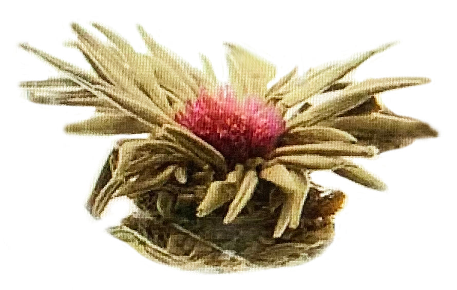 
                  
                    tea flower
                  
                